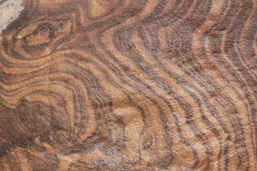 Similar image 7492160