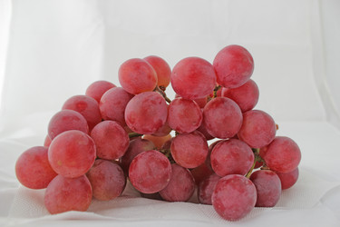 Similar image 7492182