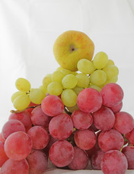 Similar image 7492184