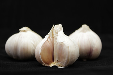 Similar image 7492189