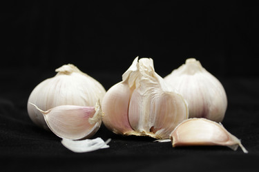 Similar image 7492190