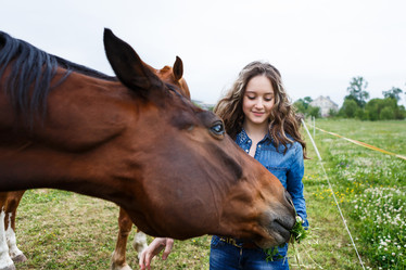 Similar image 7492232