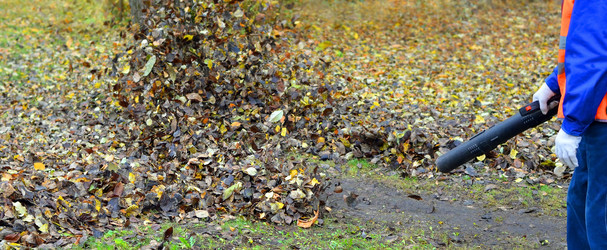 Similar image 7492241