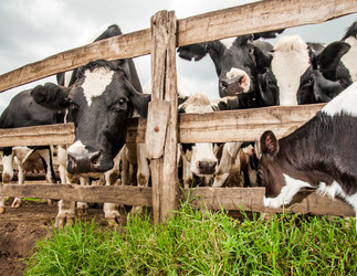 Similar image 7492265