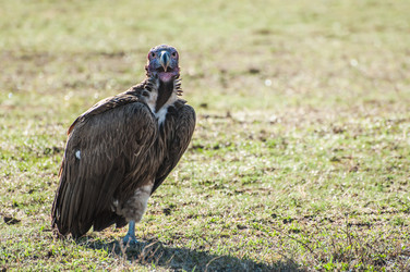 Similar image 7492267