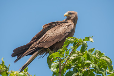 Similar image 7492269