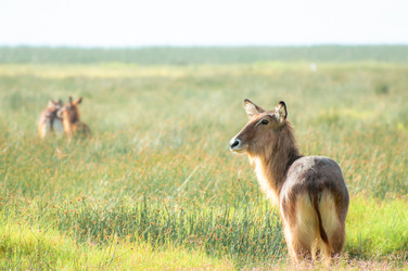 Similar image 7492277