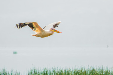 Similar image 7492280