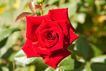 Similar image 7492297