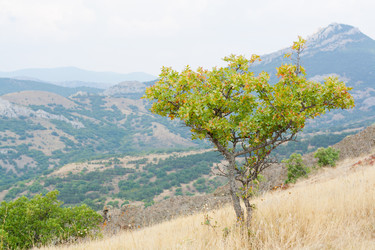 Similar image 7492301