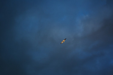 Similar image 7492303