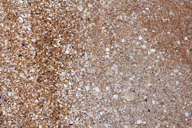 Similar image 7492347