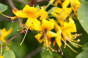 Similar image 7492349