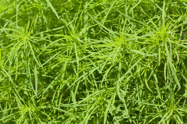 Similar image 7492350