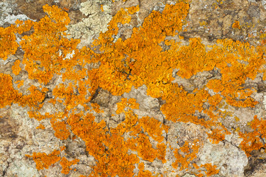 Similar image 7492351