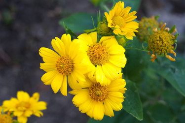 Similar image 7492361