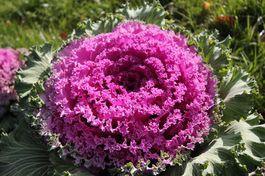 Similar image 7492362