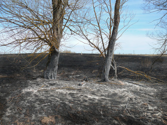 Similar image 7492384