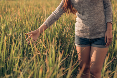 Similar image 7492521