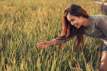 Similar image 7492555