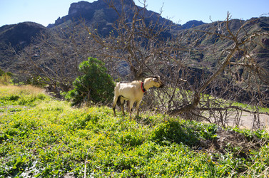 Similar image 7492630