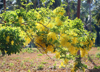 Similar image 7492643
