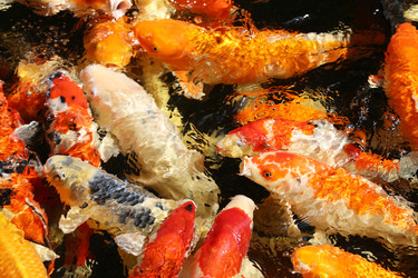 Similar image 7492647