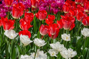 Similar image 7492701