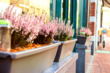 Similar image 7492831