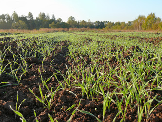 Similar image 7492915