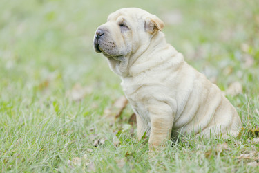 Similar image 7493554