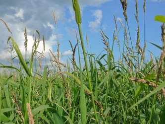 Similar image 7493561