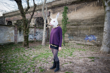 Similar image 7493719