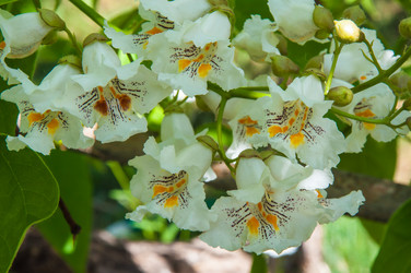 Similar image 7494535