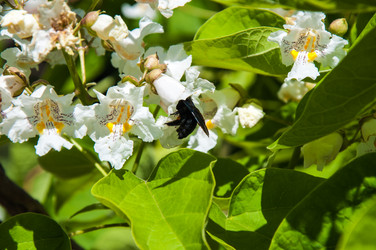 Similar image 7494537