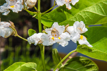 Similar image 7494538