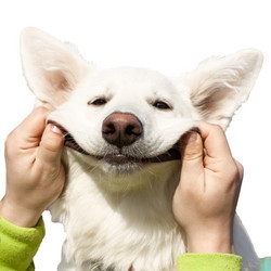 Similar image 7495288