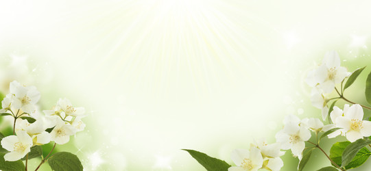 Similar image 7506209