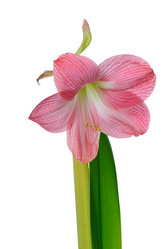 Similar image 7506233