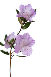 Similar image 7506235