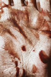 Similar image 7506278