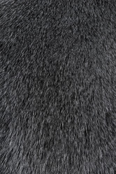 Similar image 7506289