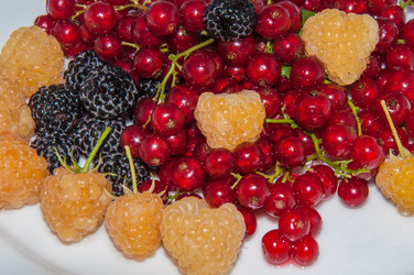 Similar image 7506372