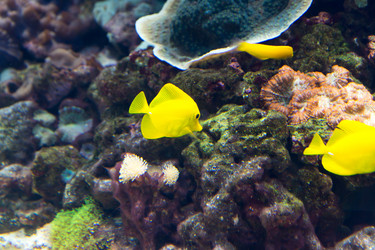 Similar image 7506486