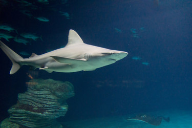 Similar image 7506489