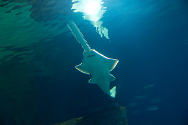 Similar image 7506490