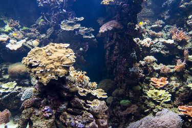 Similar image 7506492