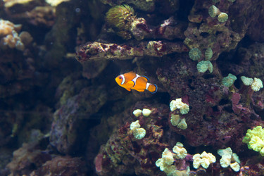 Similar image 7506493