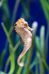 Similar image 7506495