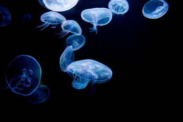 Similar image 7506497